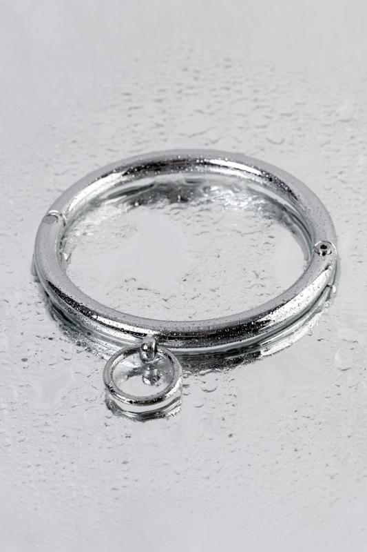 Ошейник TOYFA Metal с кольцом, металл, серебряный